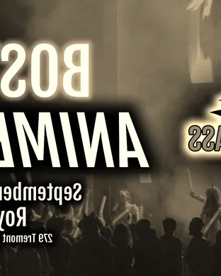 Anime Rave