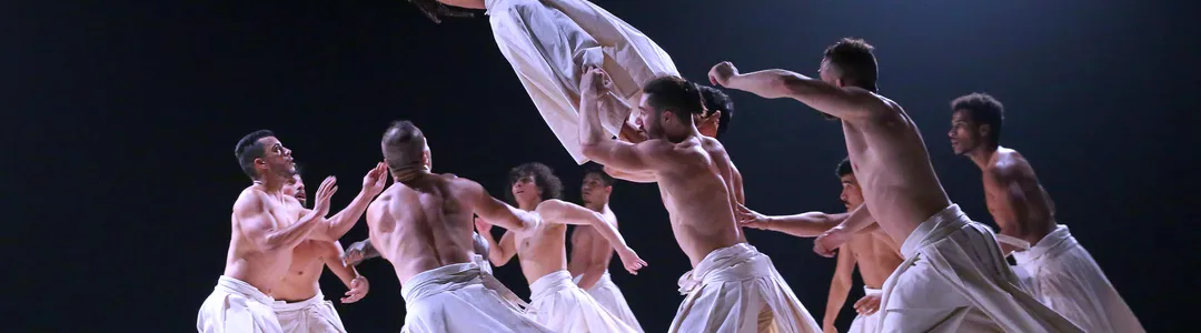 Compagnie Herve Koubi