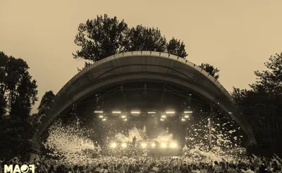 Foam Wonderland