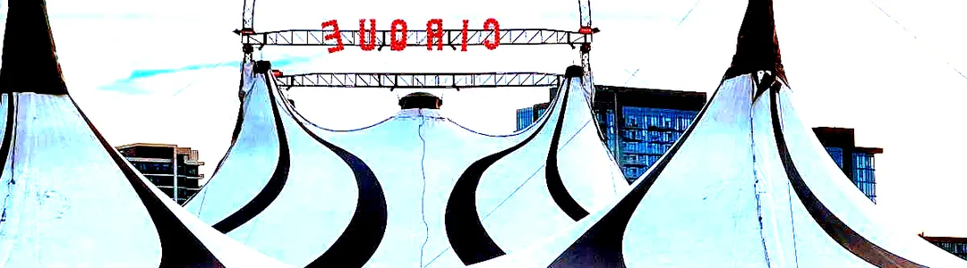 Paranormal Cirque