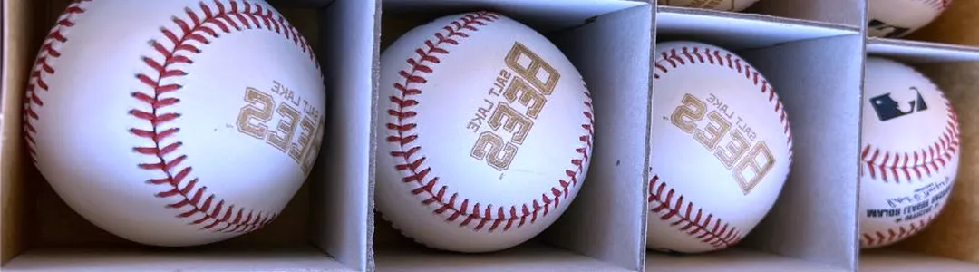 Salt Lake Bees