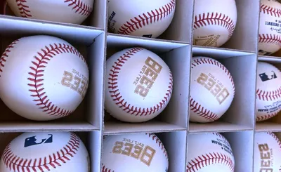 Salt Lake Bees