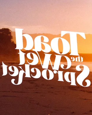 Toad The Wet Sprocket