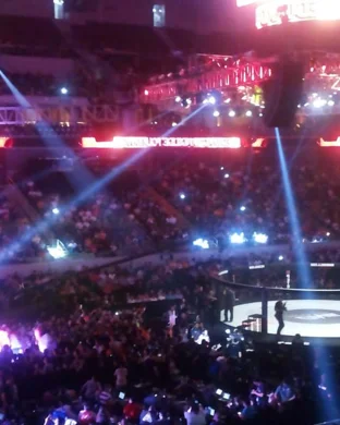 UFC 332: Silva vs. Wang