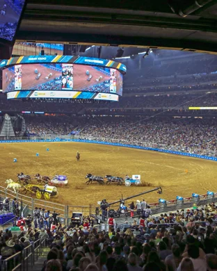 Horns & Halos - Ultimate Bullfighters