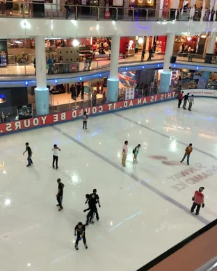 US Figure Skating Championships: Championship Free Dance & Awards
